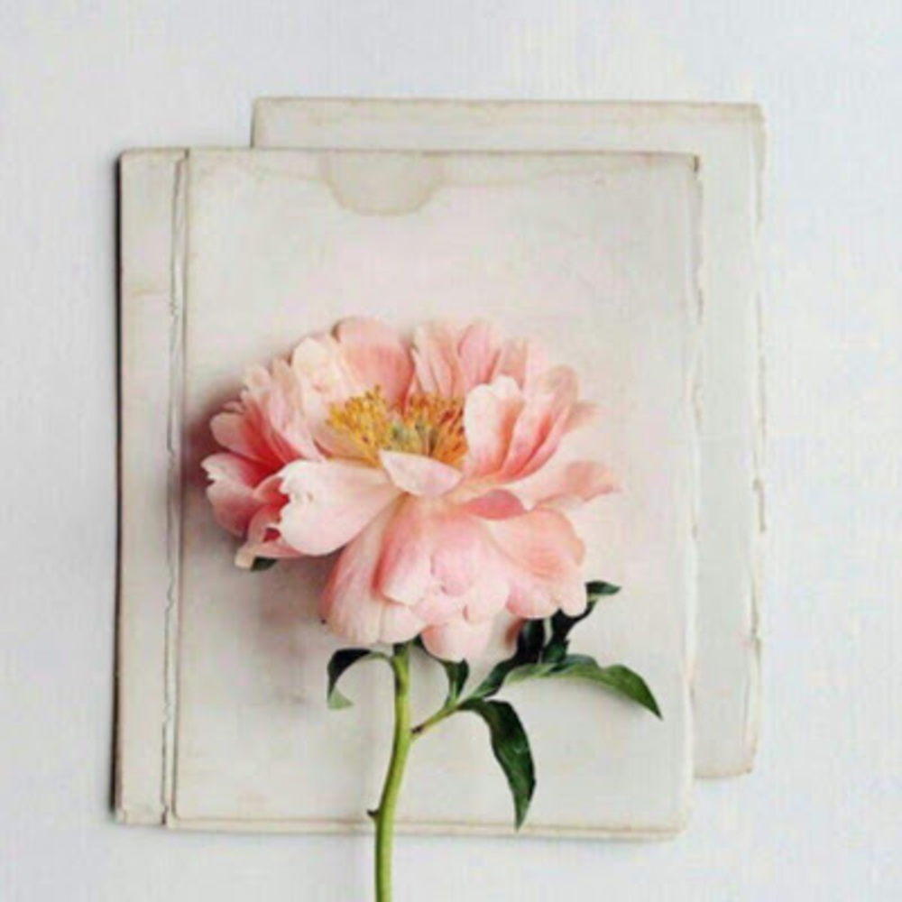 Meet your Posher, Кристина